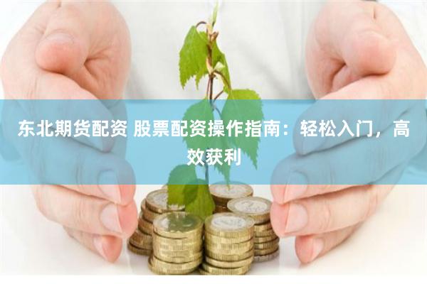 东北期货配资 股票配资操作指南：轻松入门，高效获利